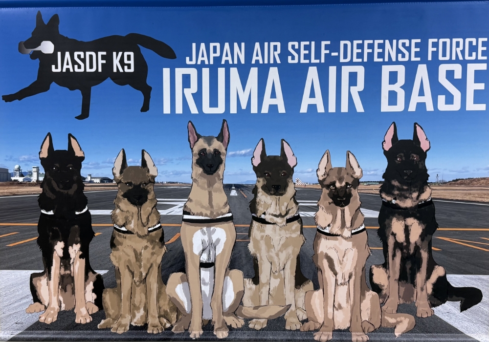 公的公用犬の無償治療