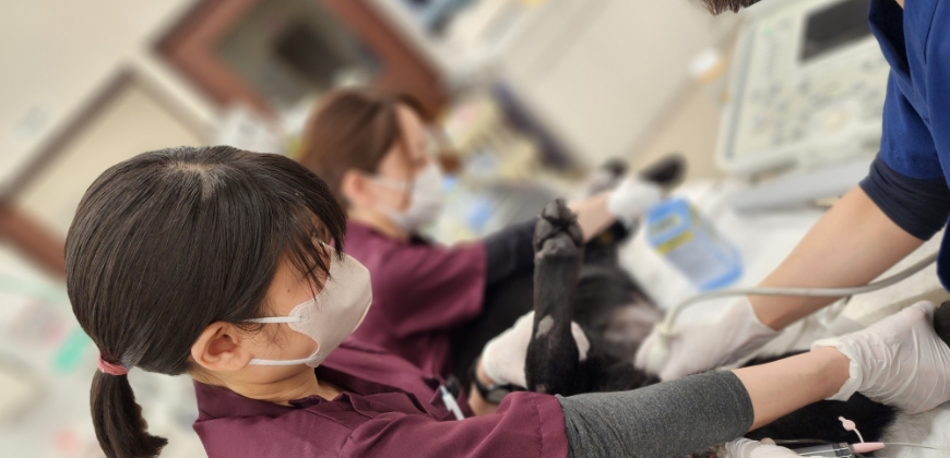 夜間救急診療科